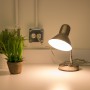 Light and Lamps